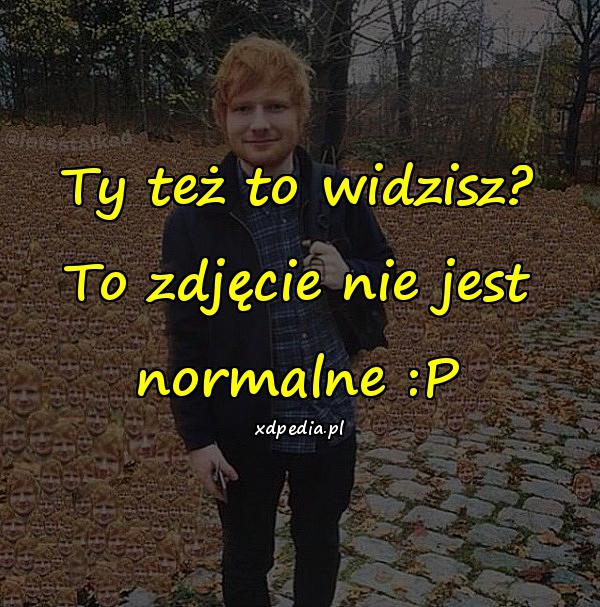 Ty też to widzisz? To zdjęcie nie jest normalne :P