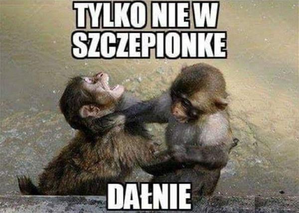 Tylko nie w szczepionkę dałnie