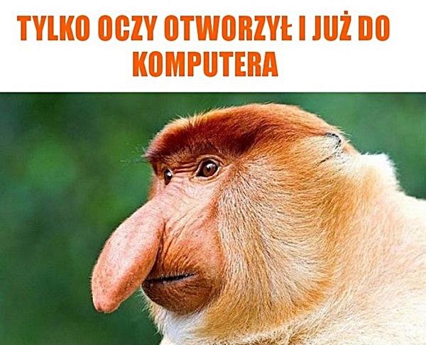 Tylko oczy otworzył i już do komputera