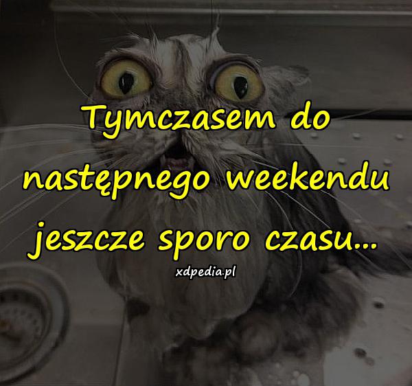 Tymczasem do następnego weekendu jeszcze sporo czasu