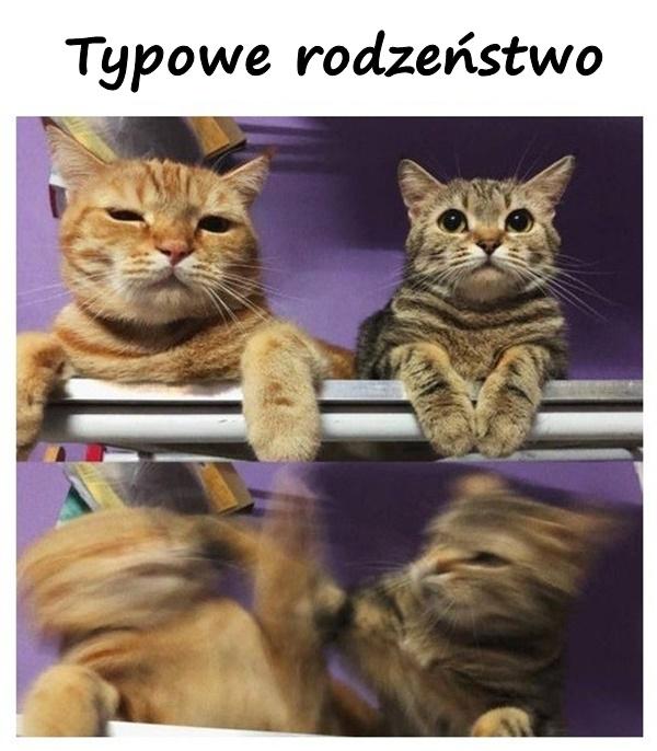 Typowe rodzeństwo