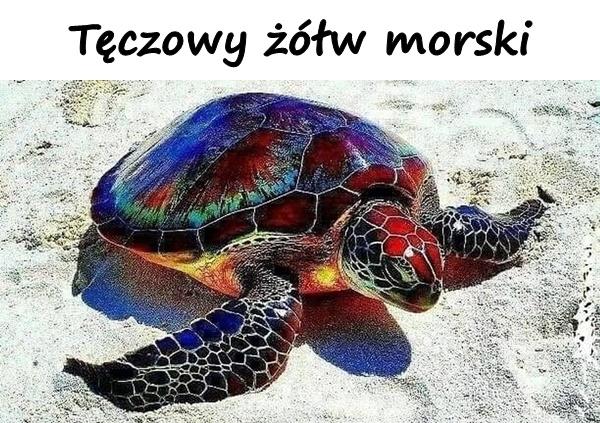 Tęczowy żółw morski