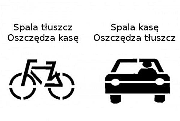 Tłuszcz i kasa