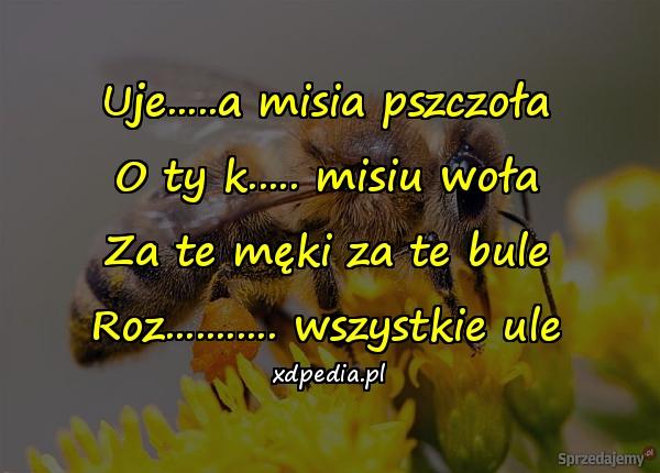 Uje.....a misia pszczoła O ty k..... misiu woła Za te męki