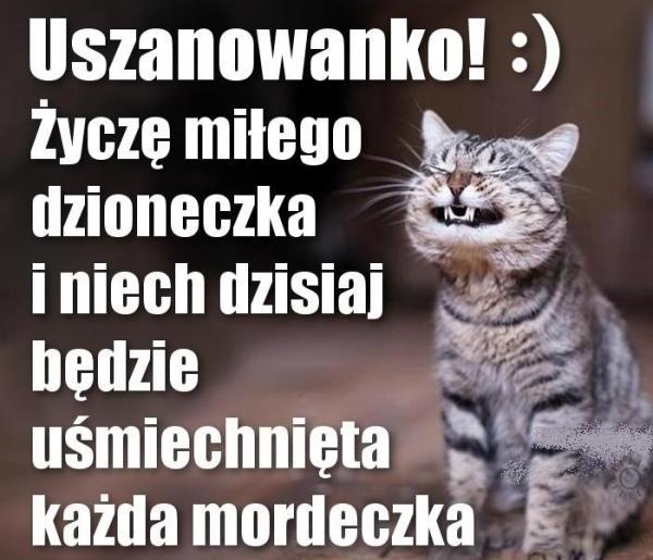 Uszanowanko życzę miłego dzioneczka i niech dzisiaj będzie