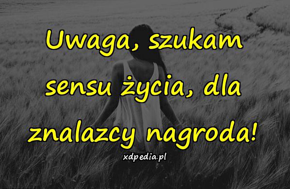 Uwaga, szukam sensu życia, dla znalazcy nagroda