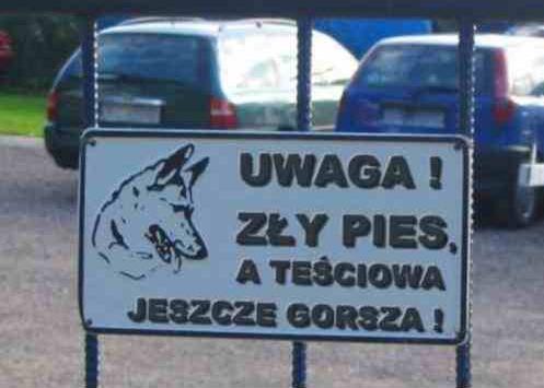 Uwaga! Zły pies, a teściowa jeszcze gorsza