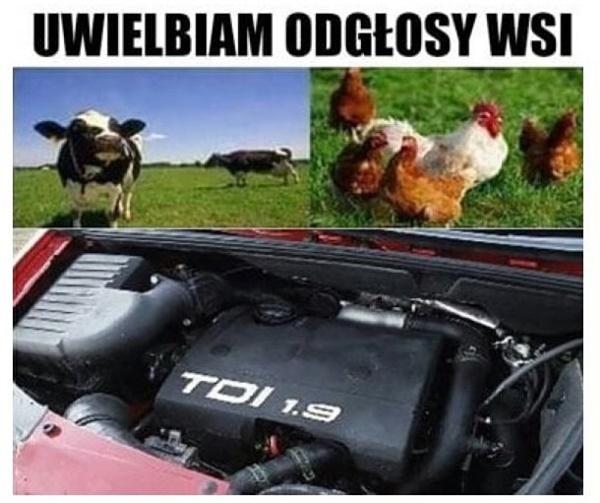 Uwielbiam odgłosy wsi