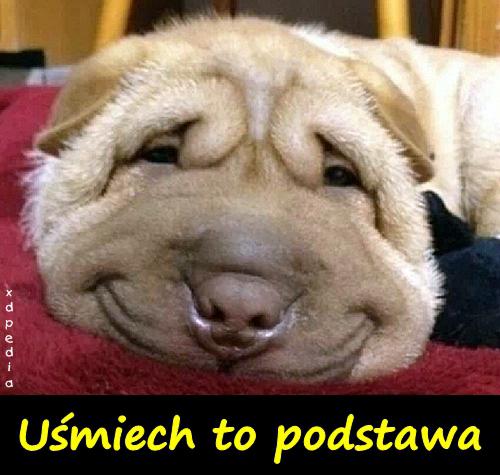 Uśmiech to podstawa