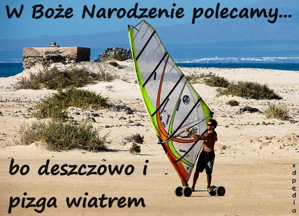 W Boże Narodzenie polecamy... bo deszczowo i pizga wiatrem