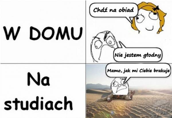 W domu - Chodź na obiad na obiad - Nie jestem głodny Na