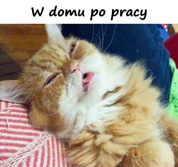 W domu po pracy