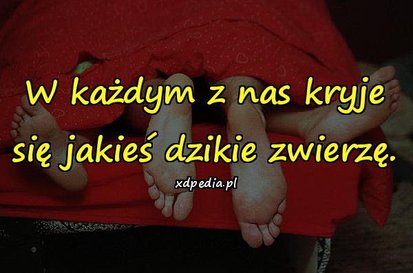 W każdym z nas kryje się jakieś dzikie zwierzę