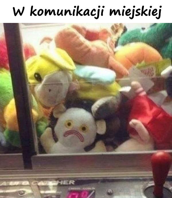 W komunikacji miejskiej