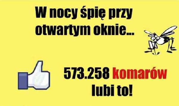 W mocy śpię przy otwarty oknie... 573.258 komarów lubi to
