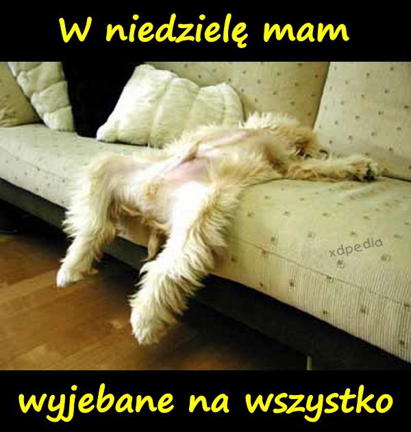 W niedzielę mam wyjebane na wszystko