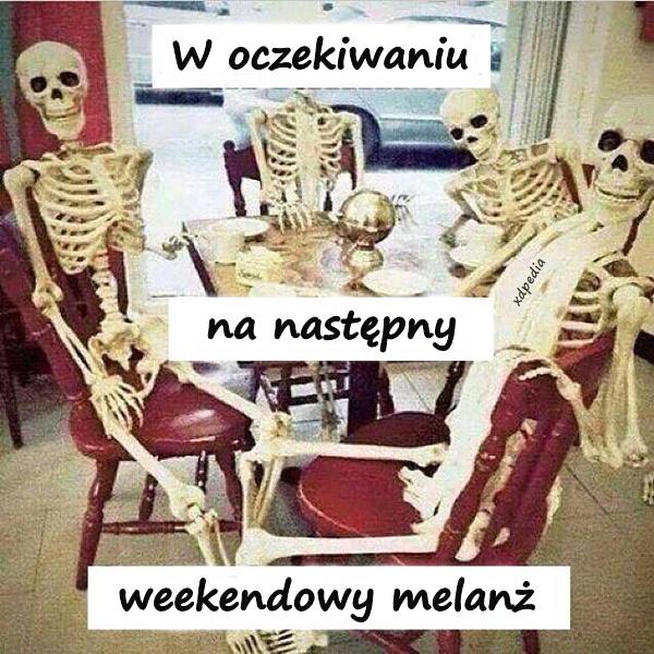 W oczekiwaniu na następny weekendowy melanż