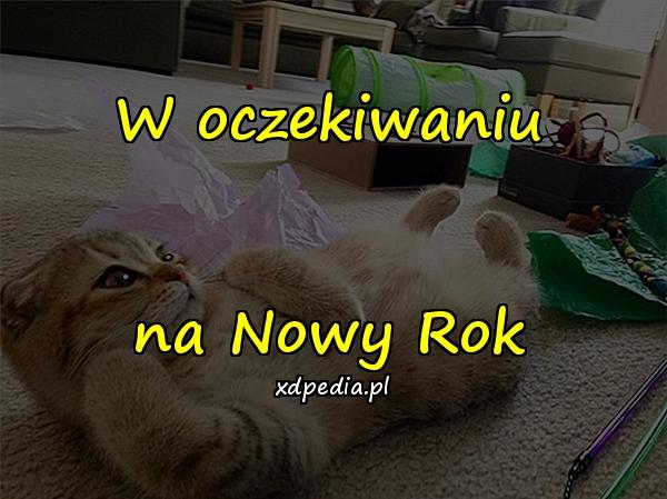 W oczekiwaniu na Nowy Rok