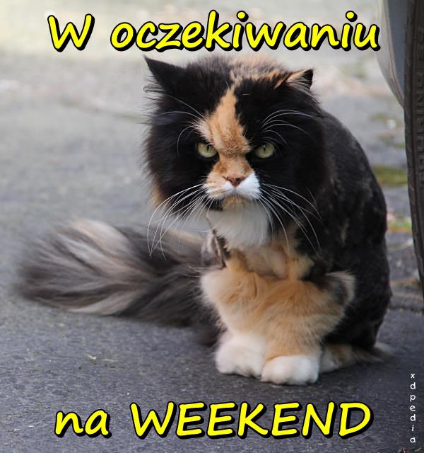 W oczekiwaniu na WEEKEND