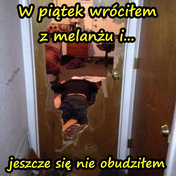 W piątek wróciłem z melanżu i... jeszcze się nie obudziłem