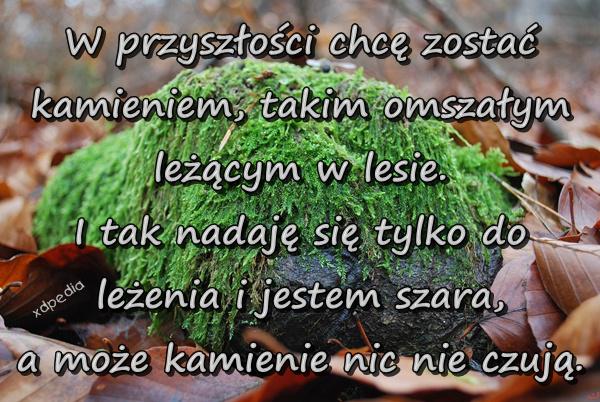 W przyszłości chcę zostać kamieniem, takim omszałym leżącym