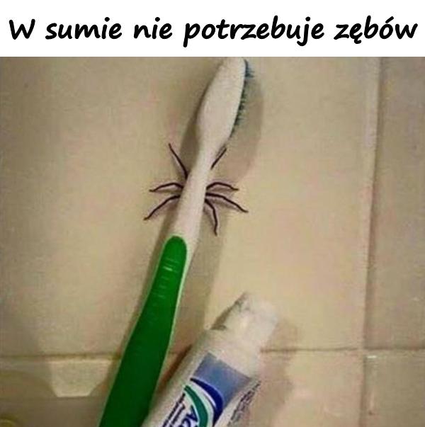 W sumie nie potrzebuje zębów