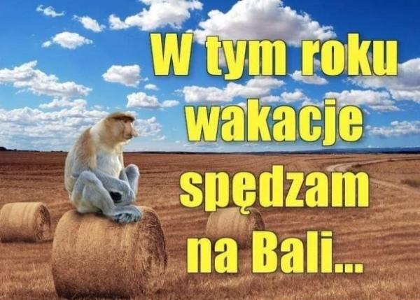 W tym roku wakacje spędzam na Bali