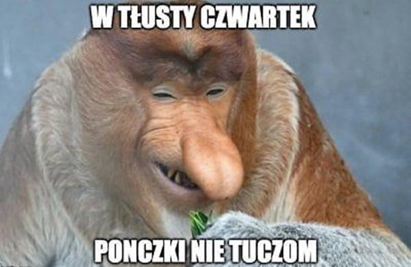 W tłusty czwartek ponczki nie tuczom