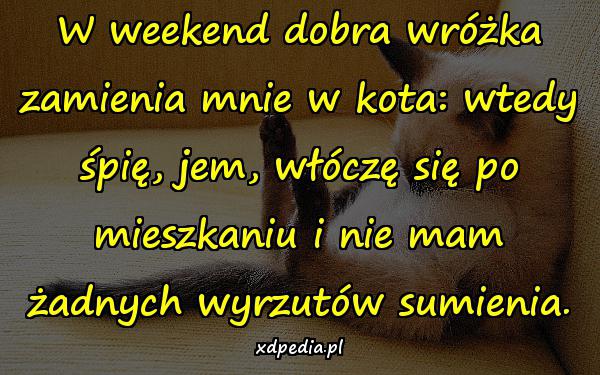 W weekend dobra wróżka zamienia mnie w kota: wtedy śpię