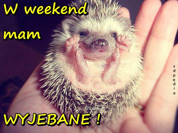 W weekend mam WYJEBANE
