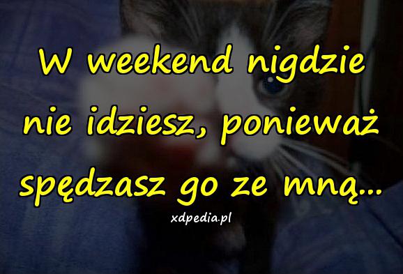 W weekend nigdzie nie idziesz, ponieważ spędzasz go ze