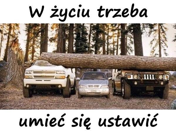 W życiu trzeba umieć się ustawić