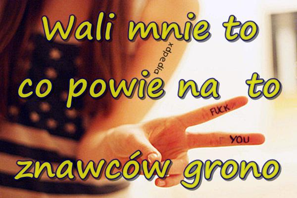 Wali mnie to, co powie na to, znawców grono