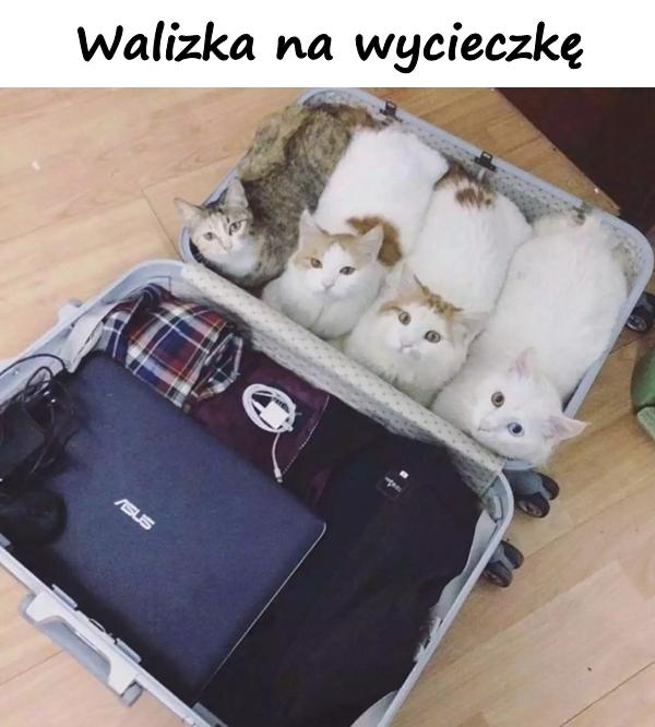 Walizka na wycieczkę