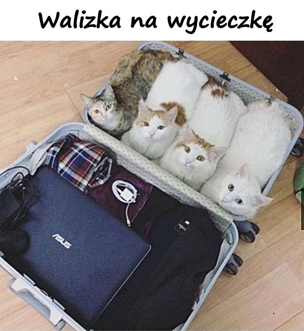 Walizka na wycieczkę