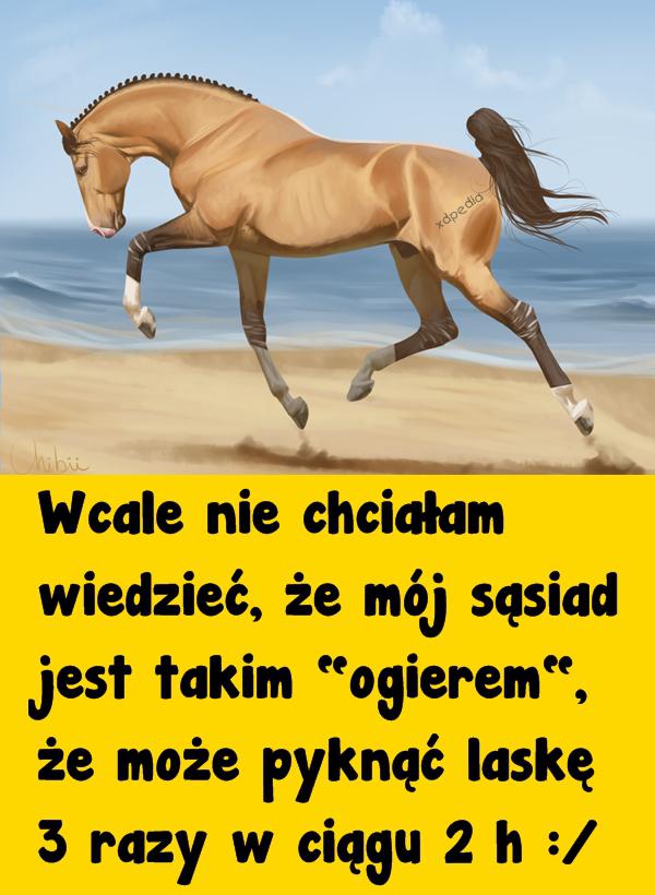 Wcale nie chciałam wiedzieć, że mój sąsiad jest takim