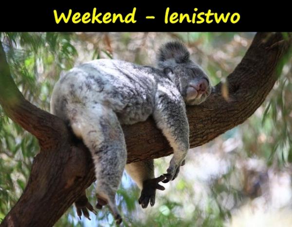 Weekend - lenistwo