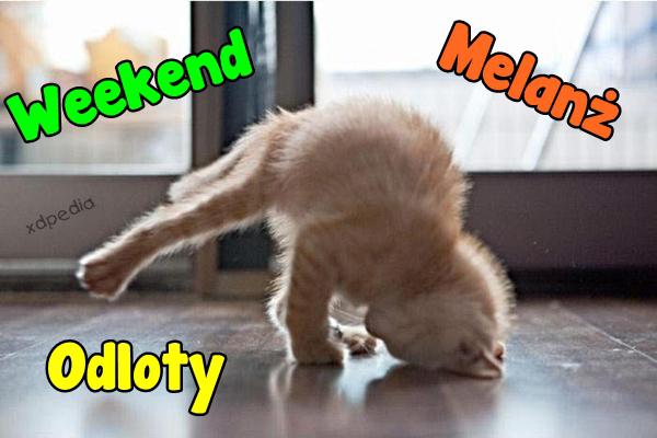 Weekend, melanż, odloty