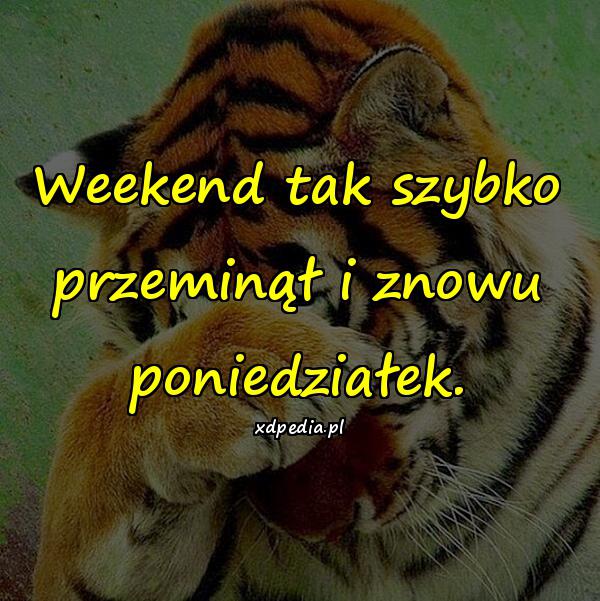 Weekend tak szybko przeminął i znowu poniedziałek