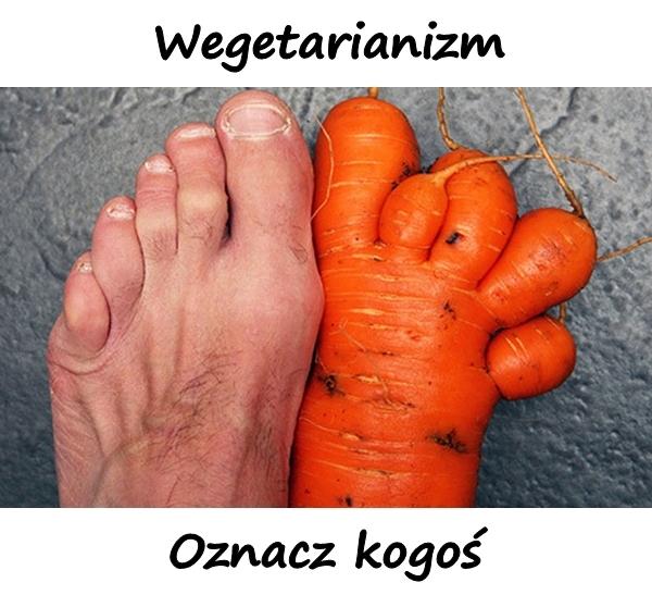 Wegetarianizm. Oznacz kogoś