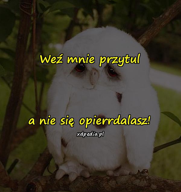 Weź mnie przytul a nie się opierrdalasz