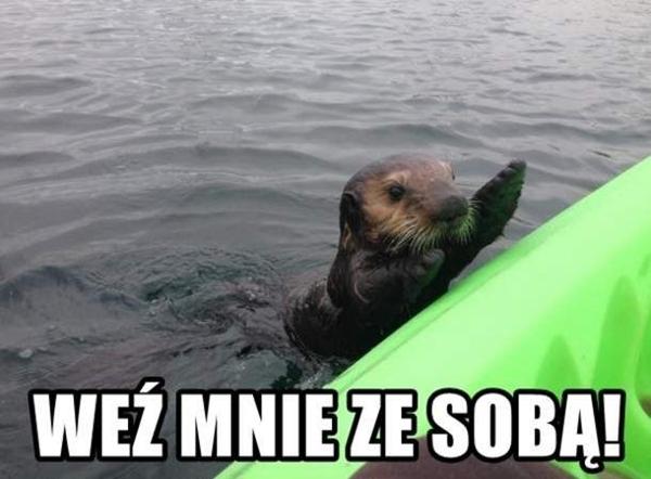 Weź mnie ze sobą