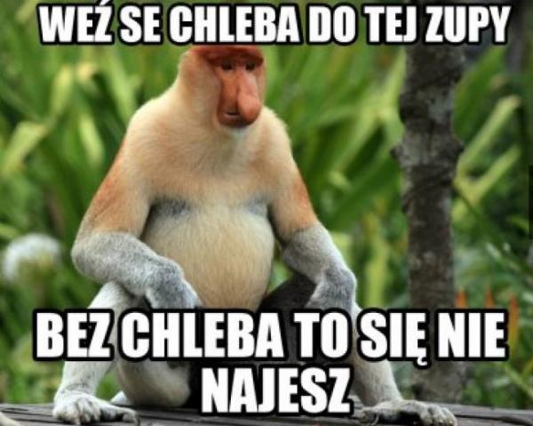 Weź se chleba do tej zupy, bez chleba to się nie najesz