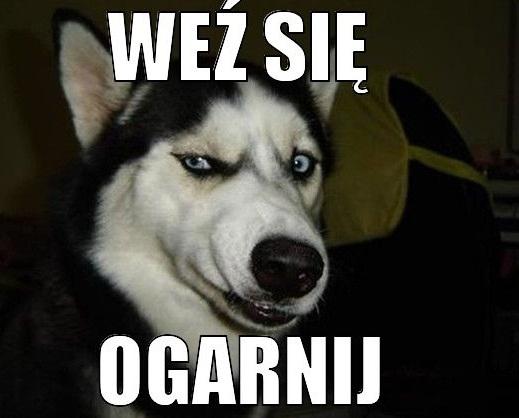 Weź się ogarnij