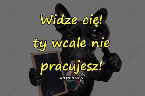 Widze cię! ty wcale nie pracujesz