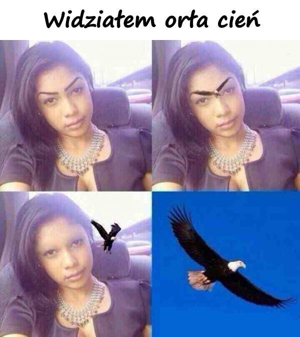 Widziałem orła cień