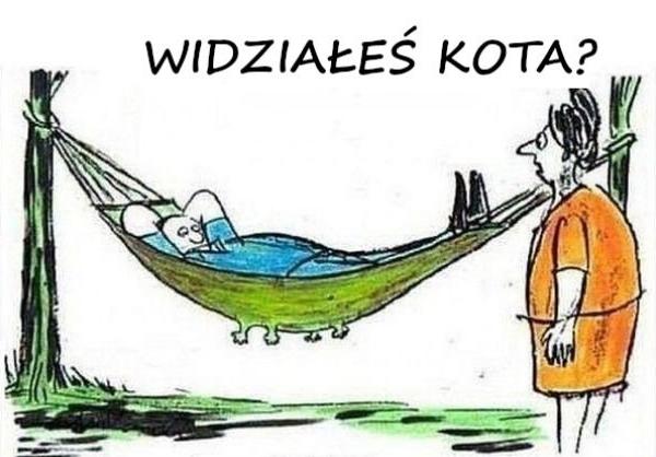 Widziałeś kota