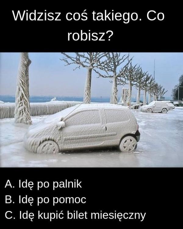 Widzisz coś takiego. Co robisz? a) Idę po palnik, b) Idę po