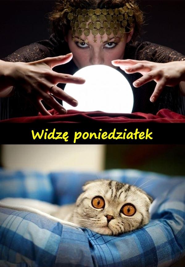 Widzę poniedziałek