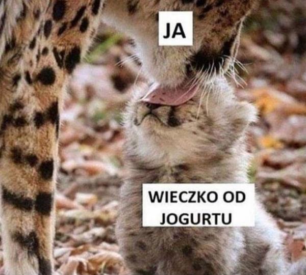 Wieczko od jogurtu